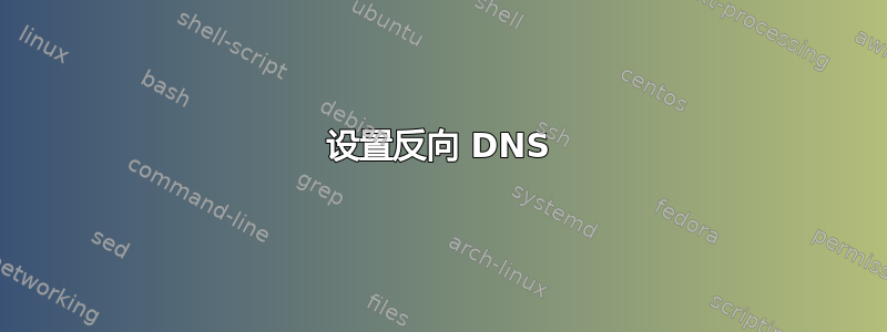 设置反向 DNS