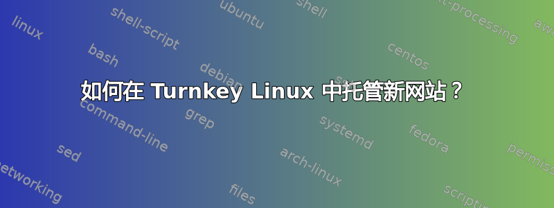 如何在 Turnkey Linux 中托管新网站？