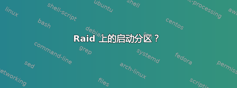 Raid 上的启动分区？