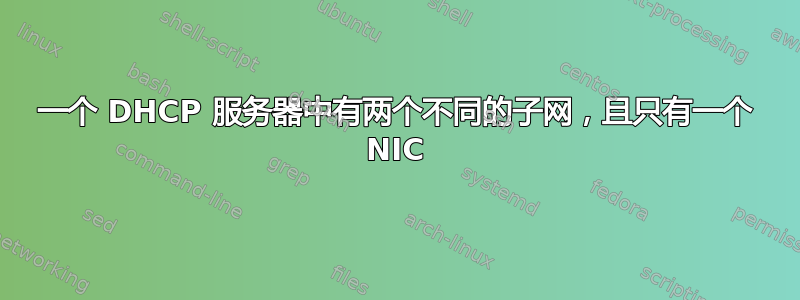 一个 DHCP 服务器中有两个不同的子网，且只有一个 NIC