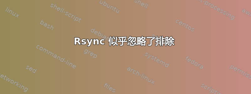 Rsync 似乎忽略了排除