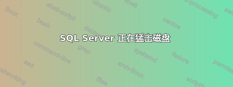 SQL Server 正在猛击磁盘