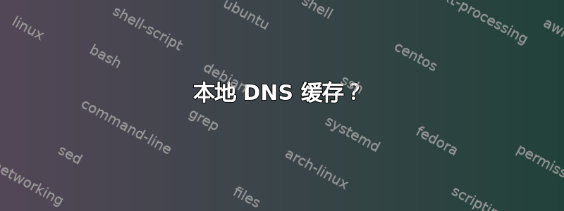 本地 DNS 缓存？