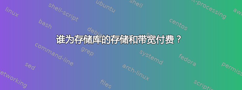 谁为存储库的存储和带宽付费？