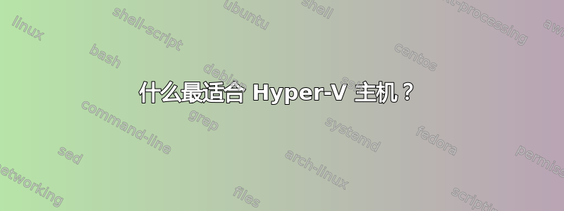 什么最适合 Hyper-V 主机？