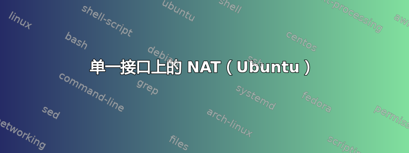 单一接口上的 NAT（Ubuntu）