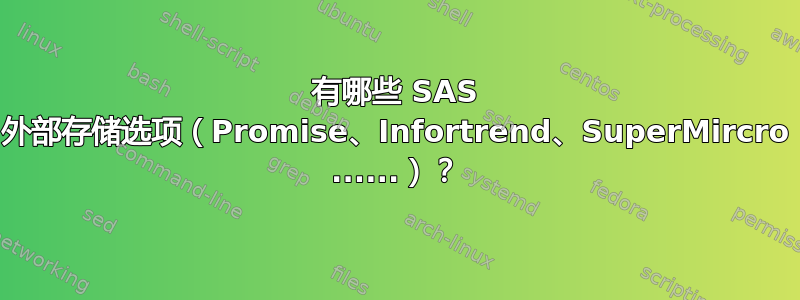 有哪些 SAS 外部存储选项（Promise、Infortrend、SuperMircro ......）？