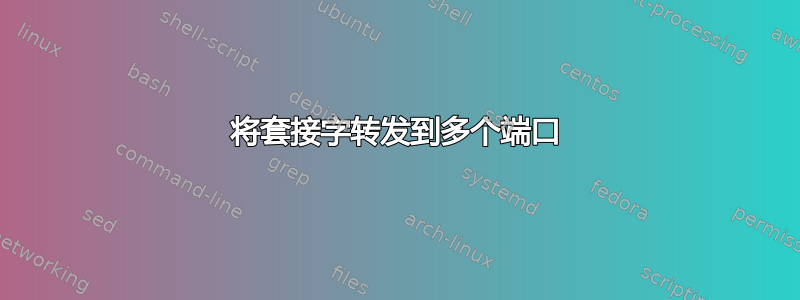 将套接字转发到多个端口