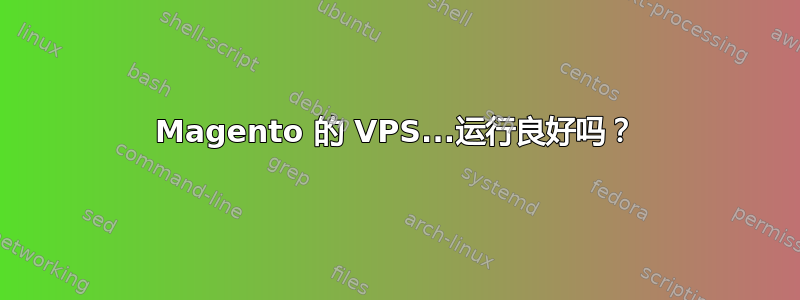 Magento 的 VPS...运行良好吗？