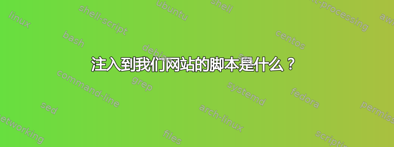 注入到我们网站的脚本是什么？