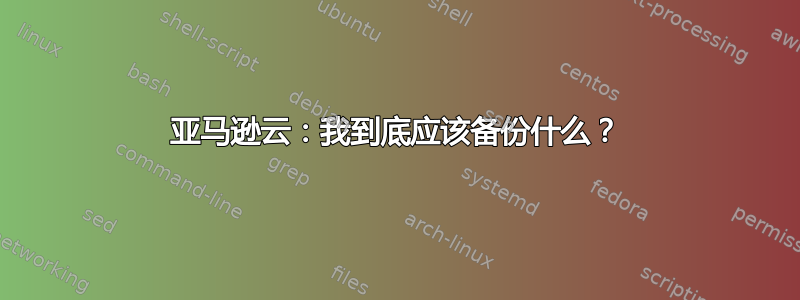 亚马逊云：我到底应该备份什么？