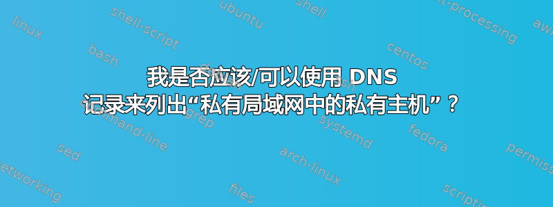 我是否应该/可以使用 DNS 记录来列出“私有局域网中的私有主机”？