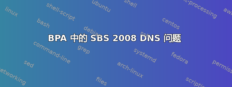 BPA 中的 SBS 2008 DNS 问题