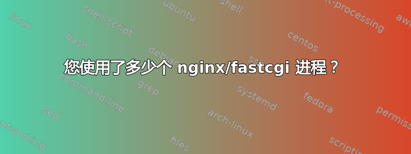 您使用了多少个 nginx/fastcgi 进程？