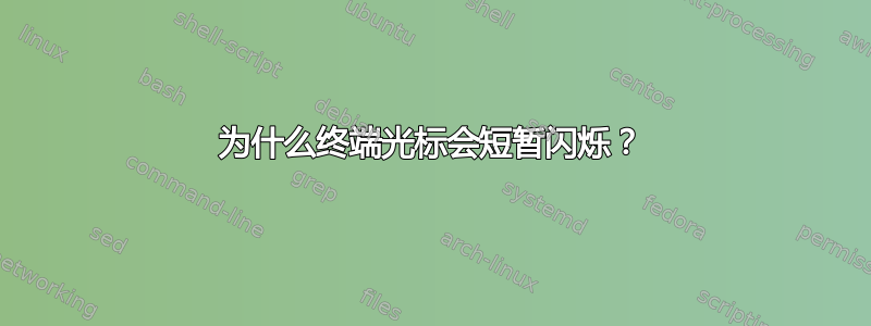 为什么终端光标会短暂闪烁？