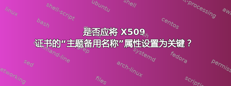 是否应将 X509 证书的“主题备用名称”属性设置为关键？