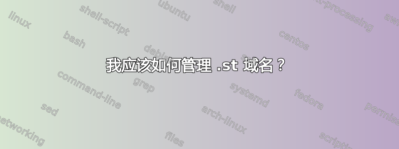 我应该如何管理 .st 域名？