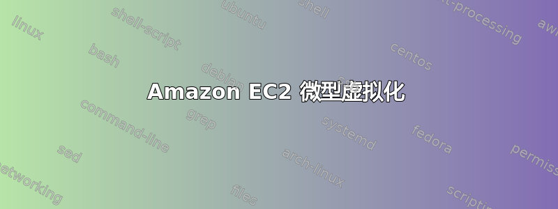 Amazon EC2 微型虚拟化