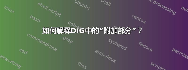 如何解释DIG中的“附加部分”？