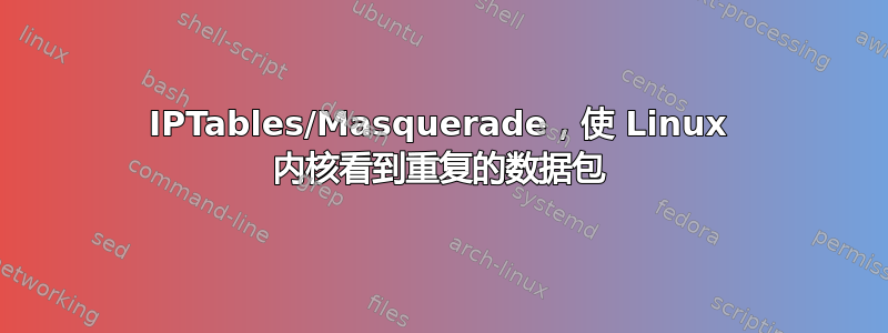 IPTables/Masquerade，使 Linux 内核看到重复的数据包