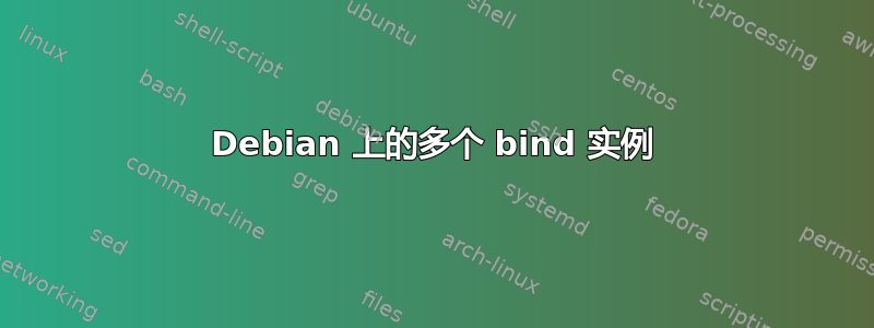 Debian 上的多个 bind 实例