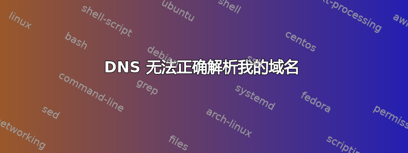 DNS 无法正确解析我的域名