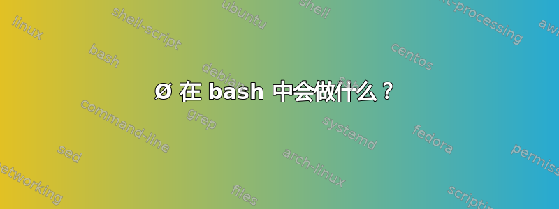 Ø 在 bash 中会做什么？