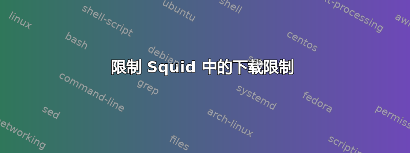 限制 Squid 中的下载限制