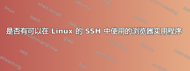 是否有可以在 Linux 的 SSH 中使用的浏览器实用程序