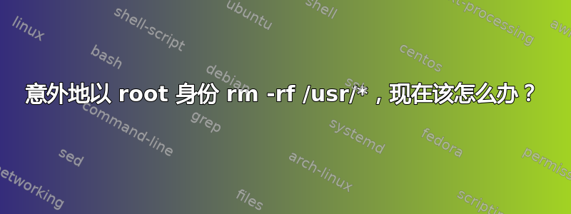 意外地以 root 身份 rm -rf /usr/*，现在该怎么办？