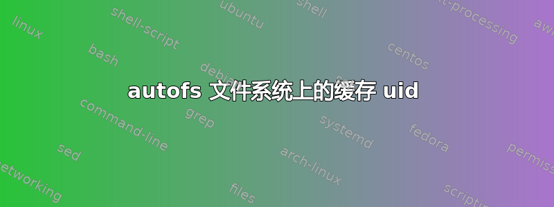 autofs 文件系统上的缓存 uid