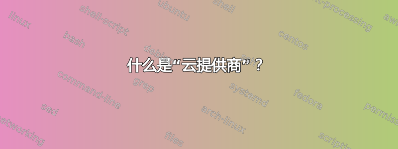 什么是“云提供商”？