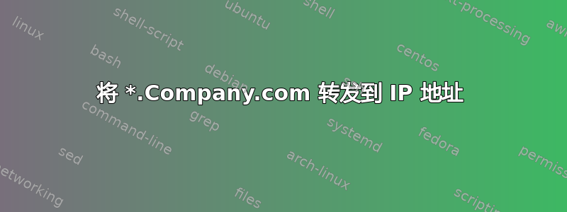 将 *.Company.com 转发到 IP 地址