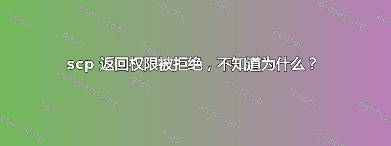 scp 返回权限被拒绝，不知道为什么？