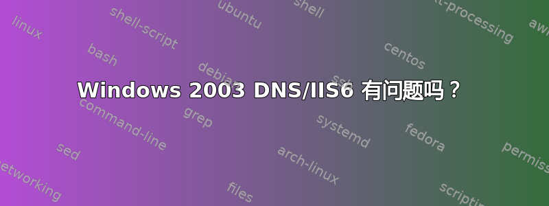 Windows 2003 DNS/IIS6 有问题吗？