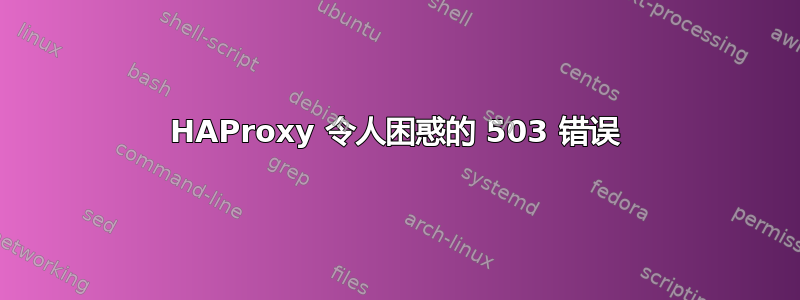 HAProxy 令人困惑的 503 错误