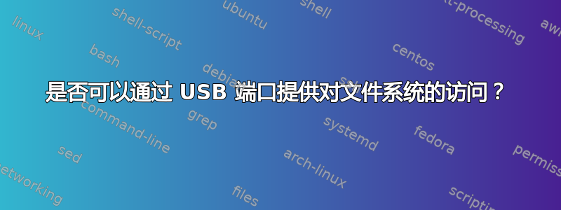 是否可以通过 USB 端口提供对文件系统的访问？