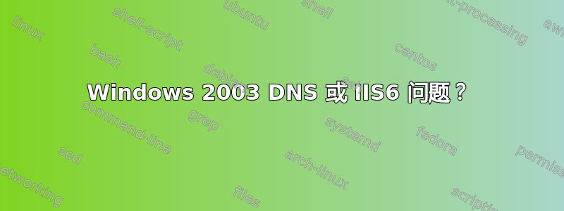 Windows 2003 DNS 或 IIS6 问题？