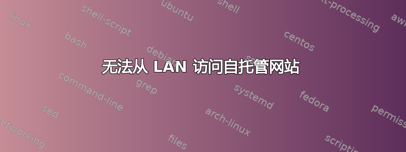 无法从 LAN 访问自托管网站