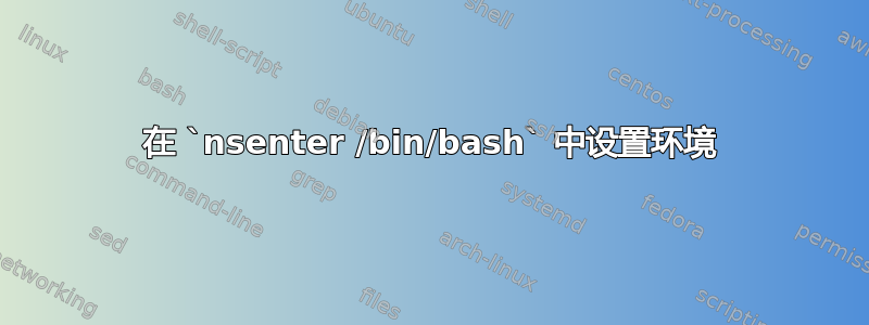 在 `nsenter /bin/bash` 中设置环境