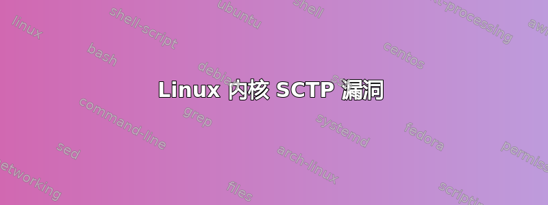 Linux 内核 SCTP 漏洞