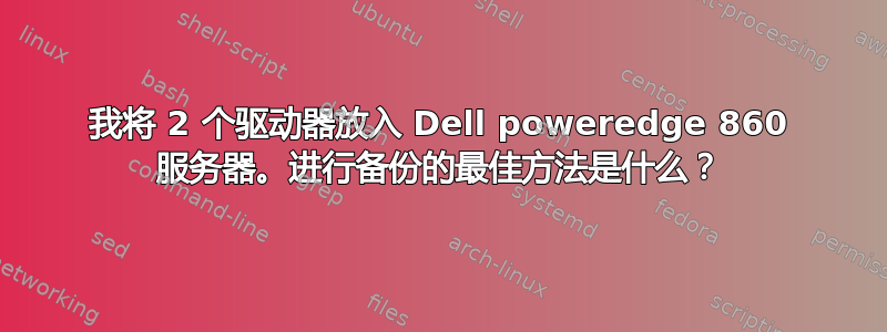 我将 2 个驱动器放入 Dell poweredge 860 服务器。进行备份的最佳方法是什么？