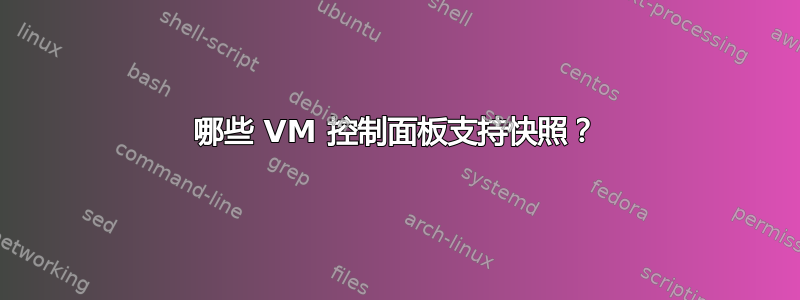 哪些 VM 控制面板支持快照？