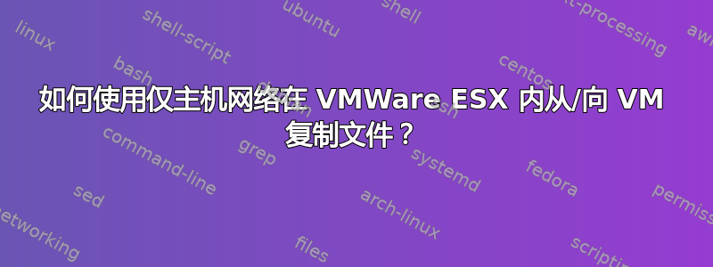 如何使用仅主机网络在 VMWare ESX 内从/向 VM 复制文件？