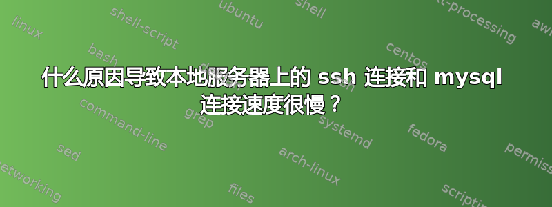 什么原因导致本地服务器上的 ssh 连接和 mysql 连接速度很慢？