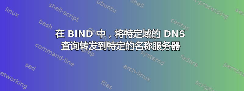 在 BIND 中，将特定域的 DNS 查询转发到特定的名称服务器