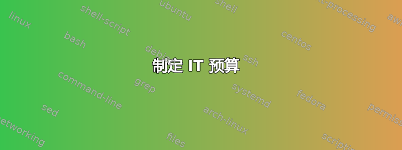 制定 IT 预算 