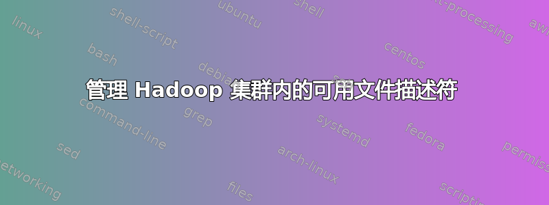 管理 Hadoop 集群内的可用文件描述符