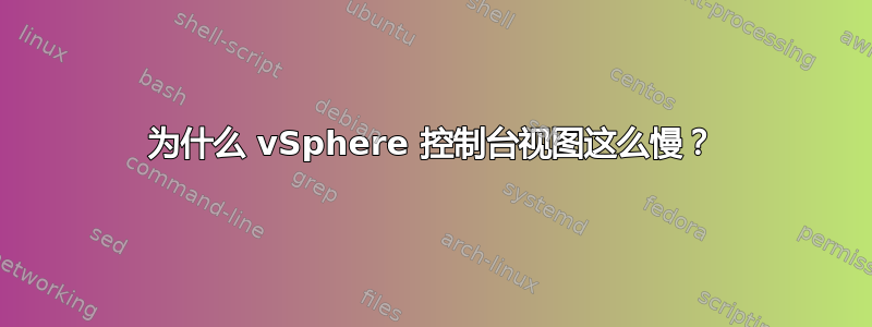 为什么 vSphere 控制台视图这么慢？