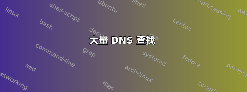 大量 DNS 查找